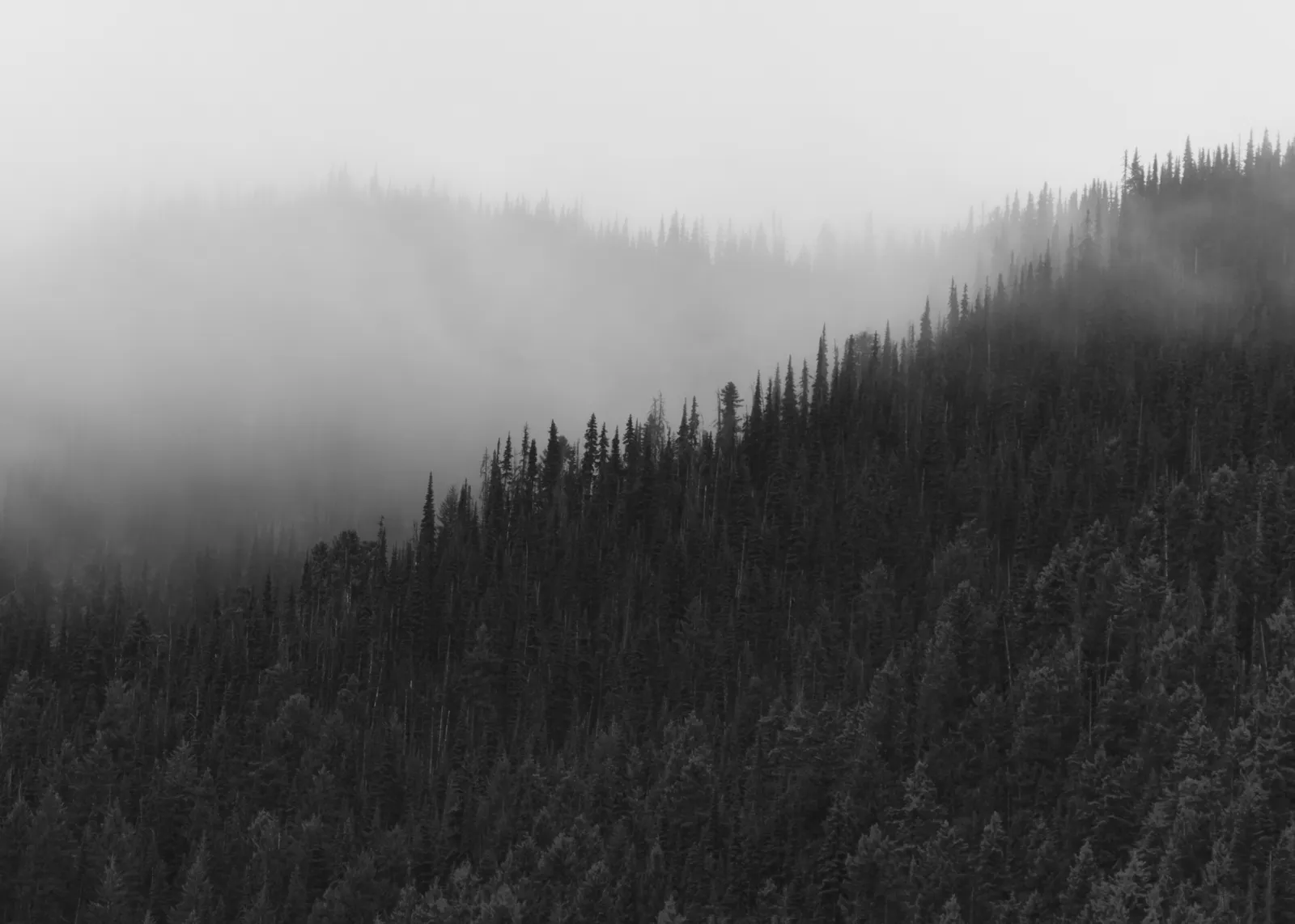 Across the globe photography