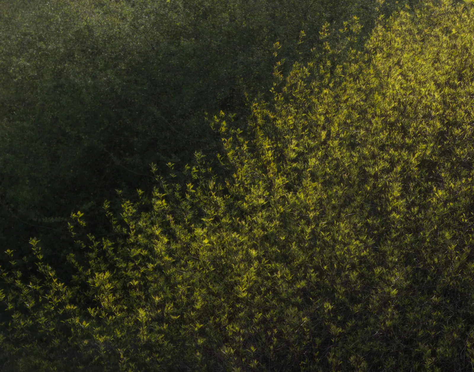 Manchester photography